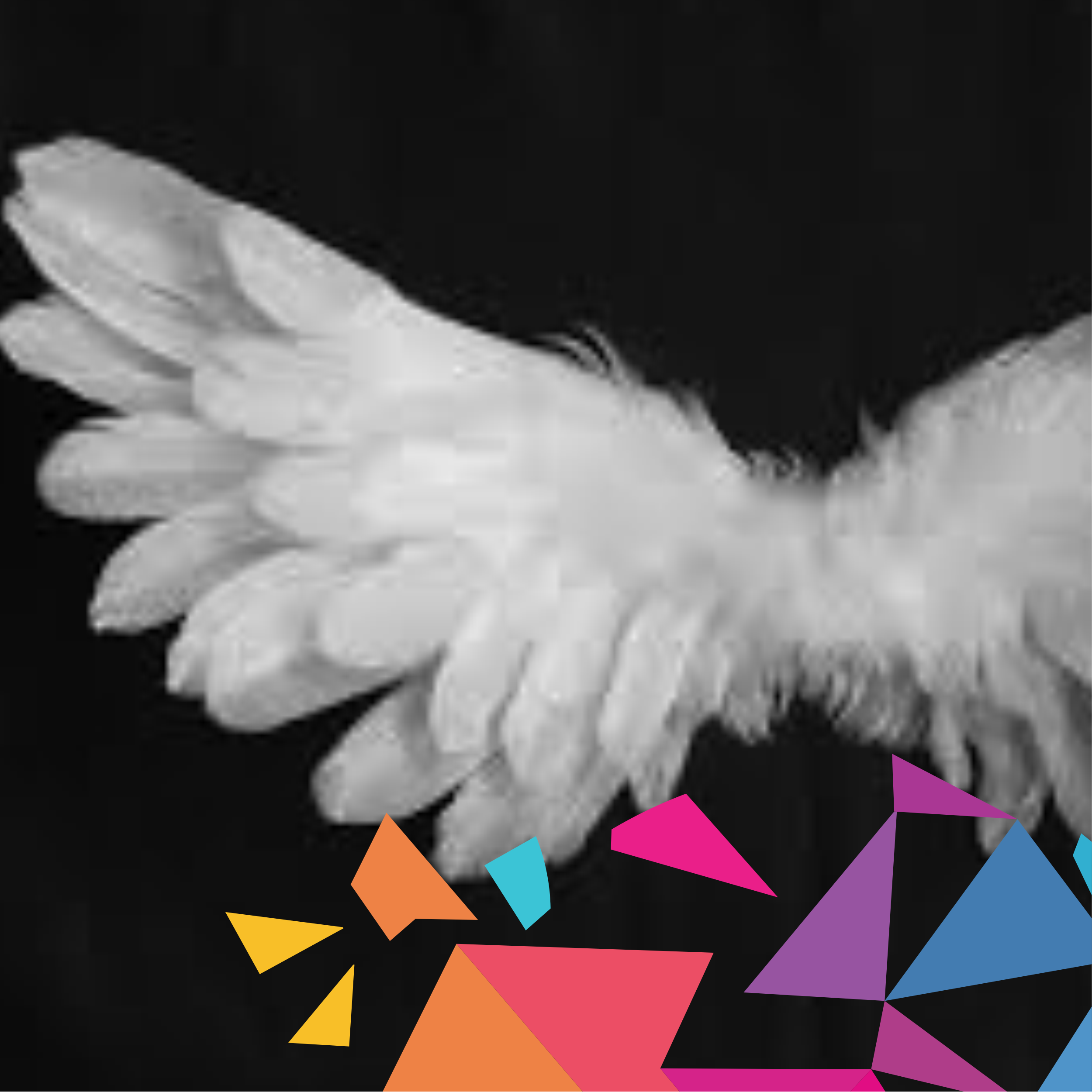 healing_wings